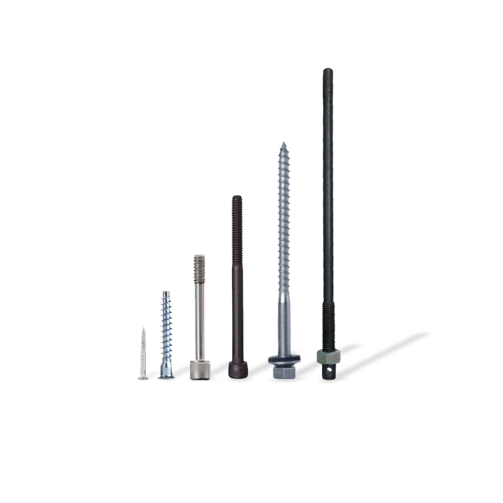 Special Screws
